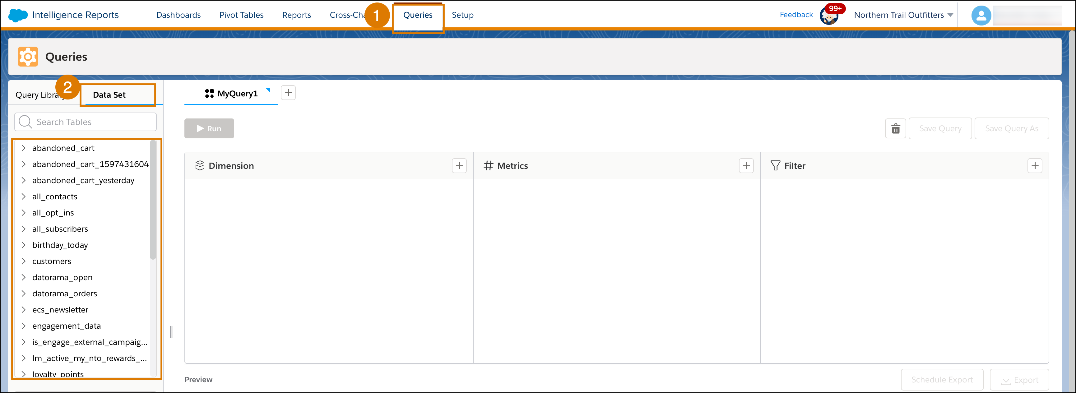 Queries tab with Data Set tab expanded showing all fields