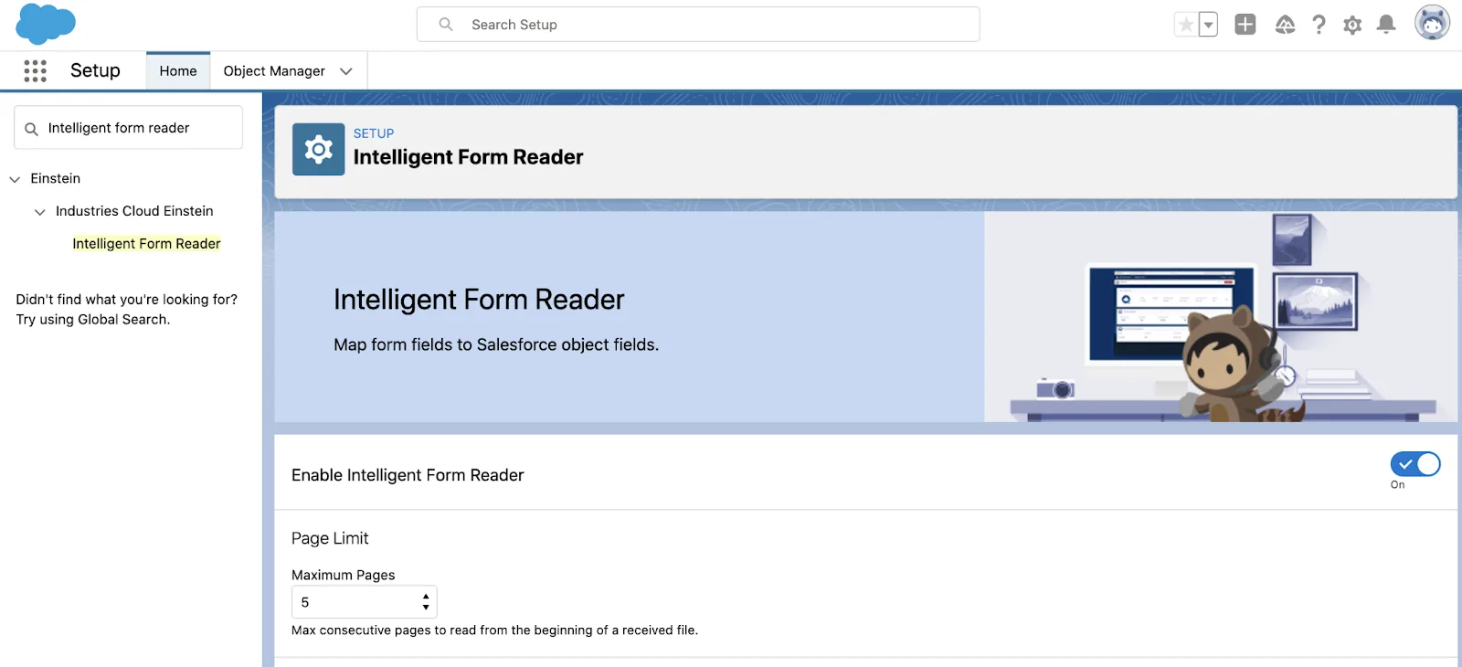 [Setup (設定)] で機能が有効になっていることを示す [Intelligent Form Reader (インテリジェントフォームリーダー)] ページ。[Page Limit (ページ制限)] セクションの [Maximum Pages (最大ページ数)] が 5 に設定されている。