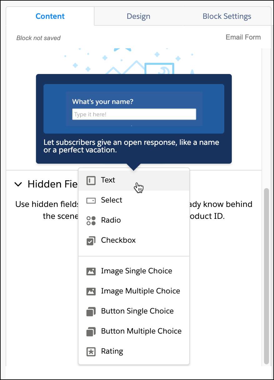 Input selections menu with text selected and a sample question, “What’s your name?”