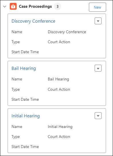 ケースレコードの [Casework Overview (ケースワーク概要)] タブの [Case Proceedings (ケース手続き)]。