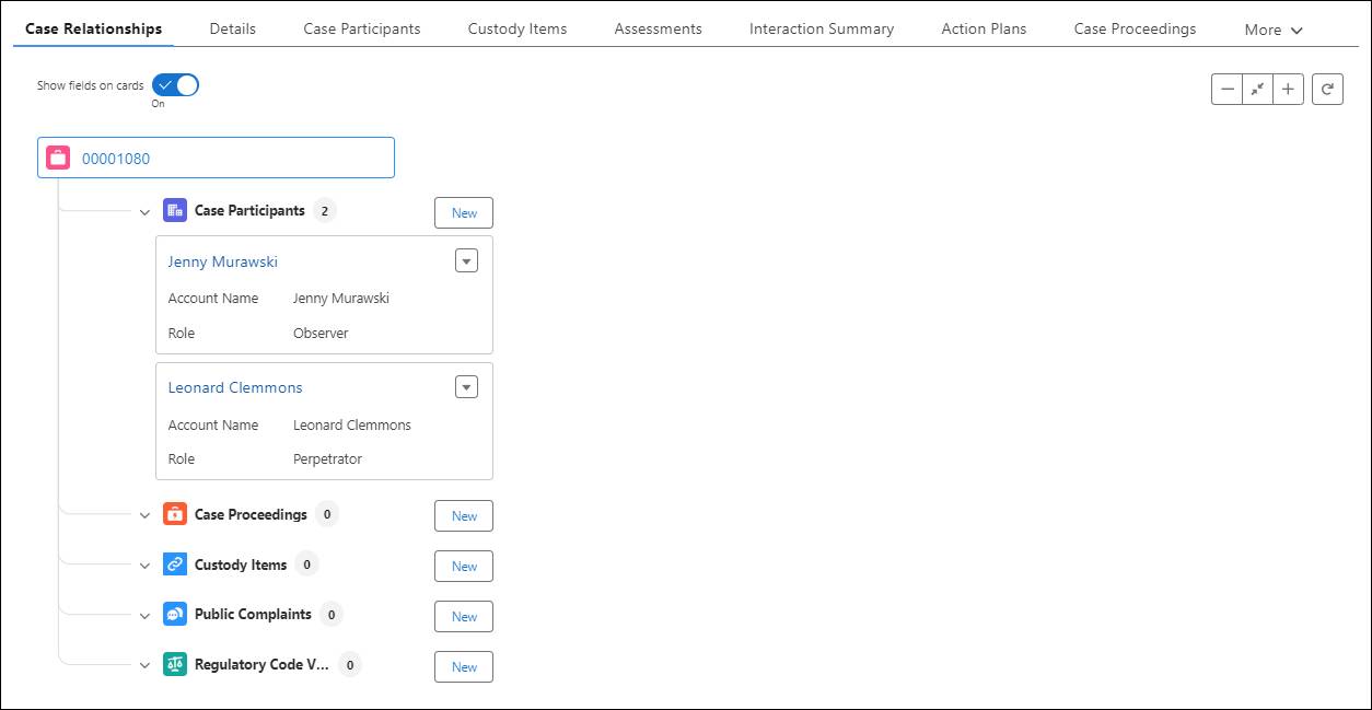 Casework Overview tab on the case record.