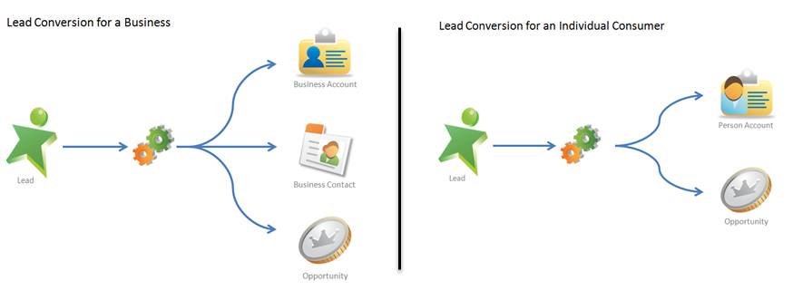 Converting a lead creates an account, contact, and opportunity based on the lead record. If your company uses person accounts, converting a lead creates a person account and opportunity.