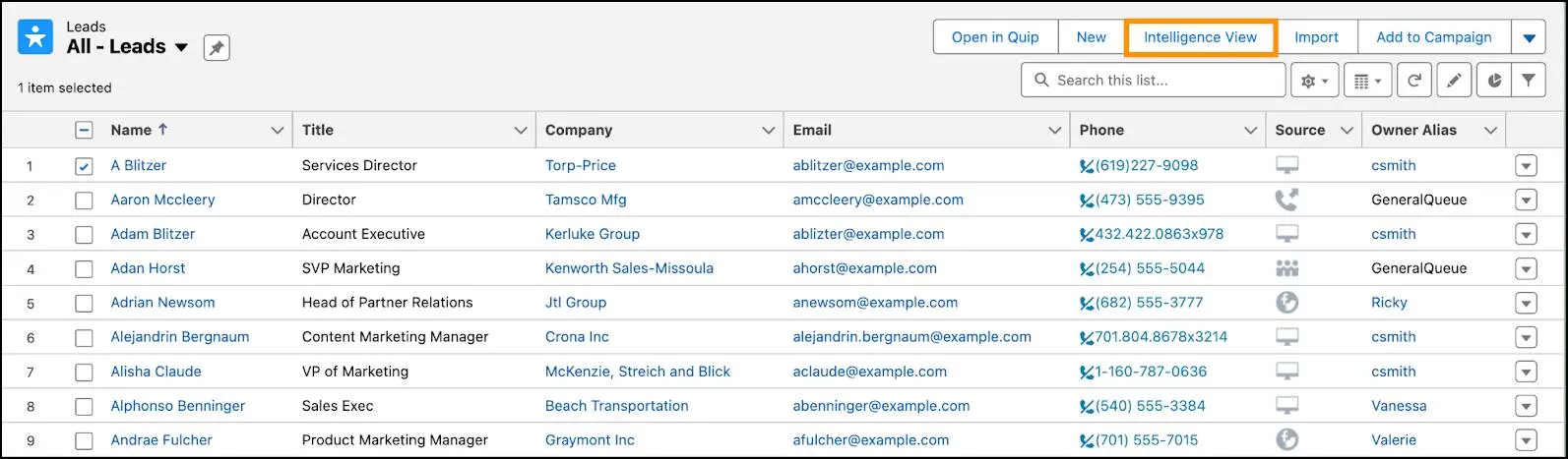 List view of all the leads.