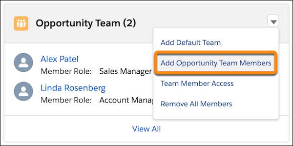 The opportunity team related list, with the Add Opportunity Team Members action highlighted