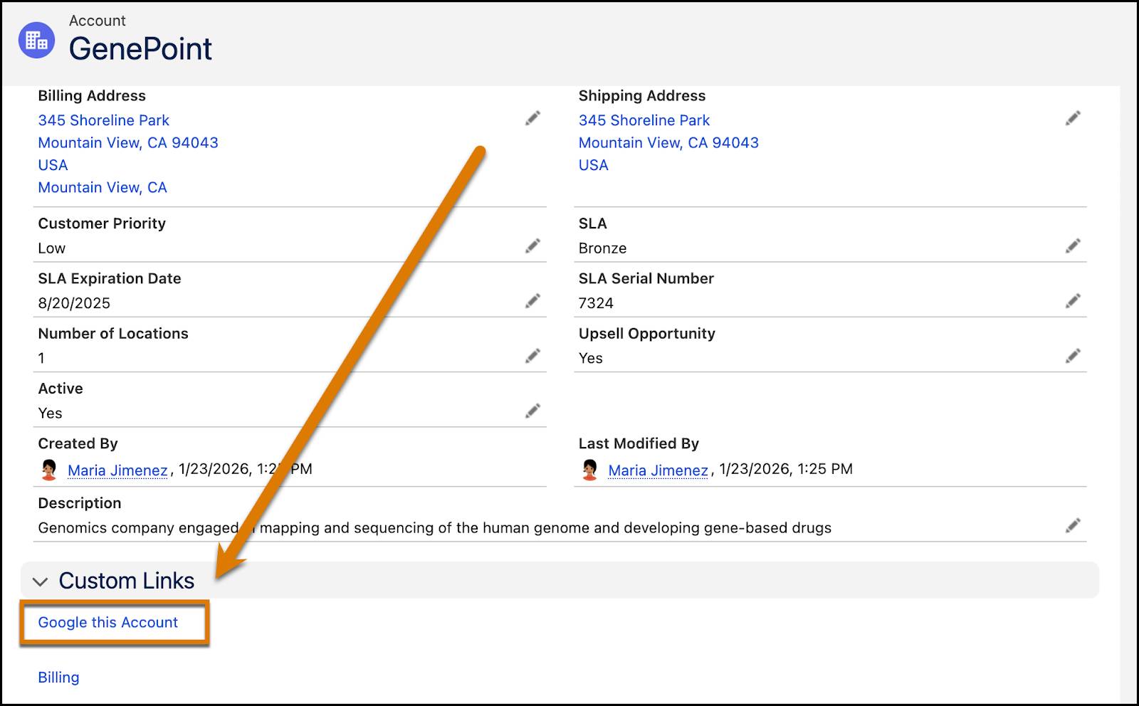 详细信息中的自定义链接