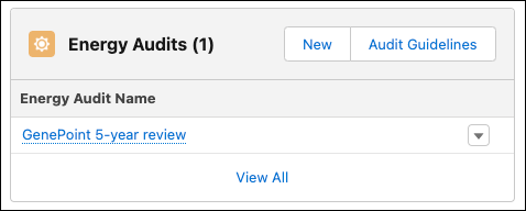 包含新建按钮的 Energy Audits（能源审计）相关列表