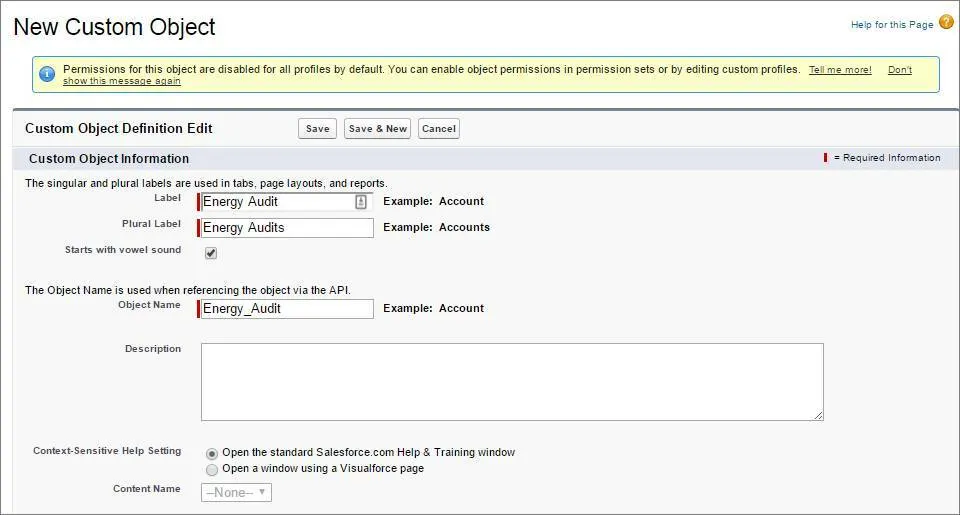 Energy Audit Custom Object