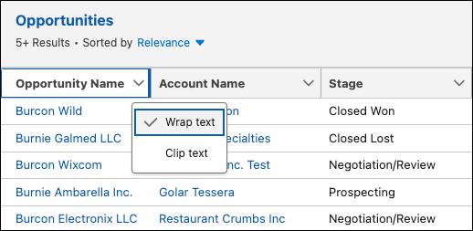 Opzione Wrap text (Testo a capo) per i campi.