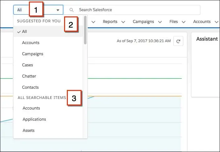 Limitar a pesquisa a um objeto específico no Lightning Experience