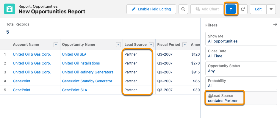 Page d’exécution du rapport avec l’icône Filter (Filtre), le filtre Partner (Partenaire) verrouillé et les entrées de la colonne Lead Source (Source de la piste) en surbrillance.