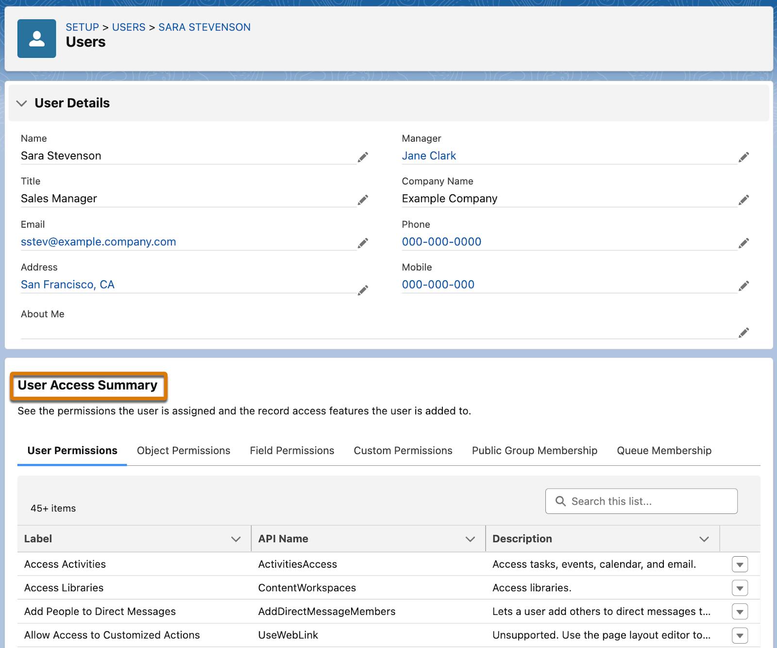 Pagina User Access Summary (Riepilogo accesso utente) in cui è evidenziata la sezione del riepilogo.