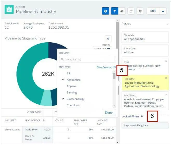 Report Run Page with Chart and Filters