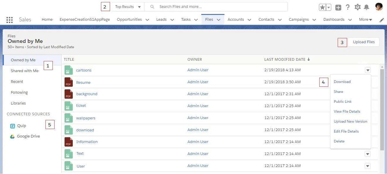 Screenshot der Startseite von Salesforce Files