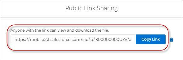 Compartir vínculo público en Salesforce Files