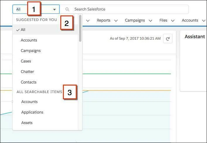 Limitación de una búsqueda a un objeto específico en Lightning Experience