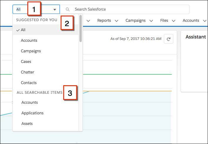 Limitación de una búsqueda a un objeto específico en Lightning Experience