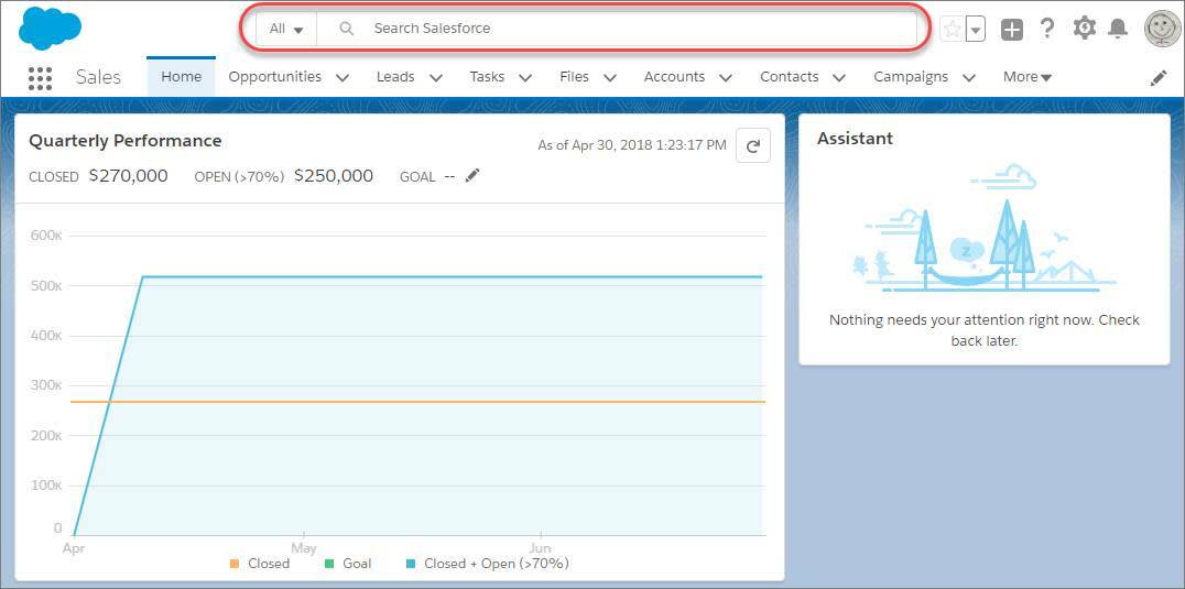 Cuadro de búsqueda en Lightning