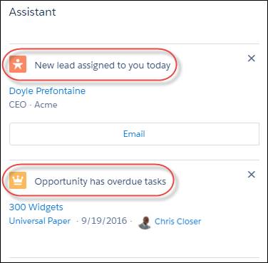 Assistant