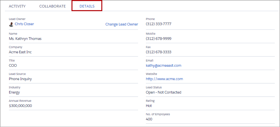 Details tab, showing more fields on the lead record.