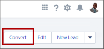 Convert button on a lead