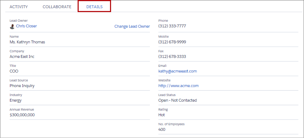 세부 정보 탭은 리드 레코드에 있는 더 많은 필드를 표시합니다.
