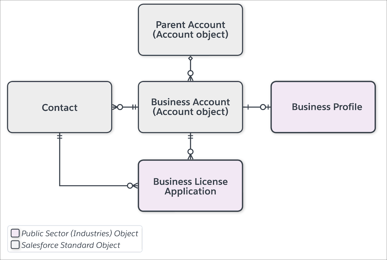 The business account data model for business license applications.