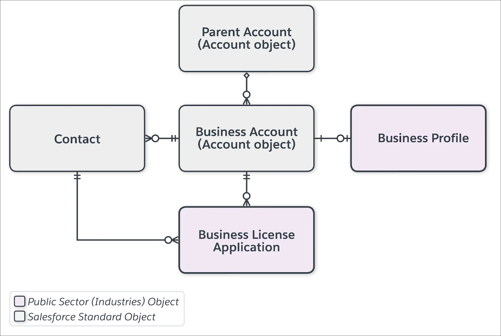 The business account data model for business license applications.