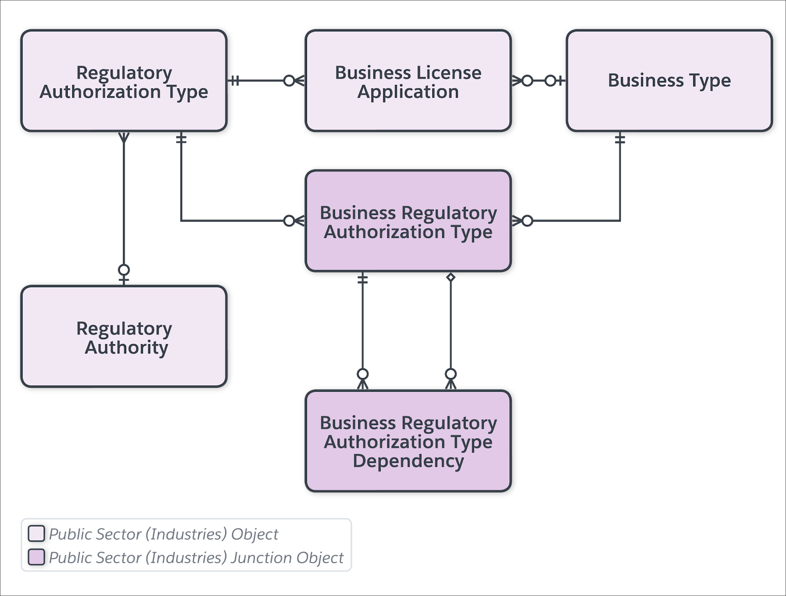 The business regulatory authorization type dependency data model.