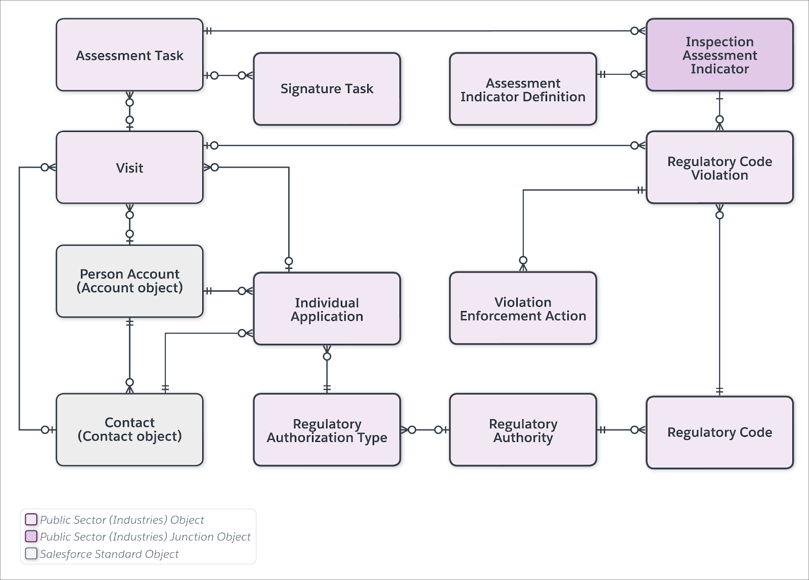 The individual license application data model.