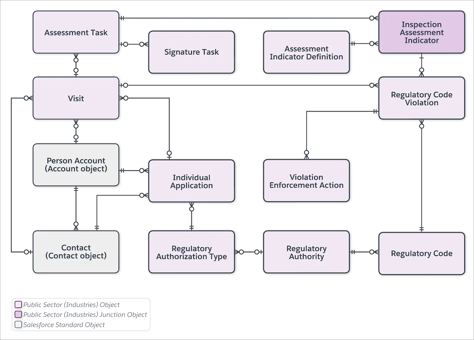 The individual license application data model.