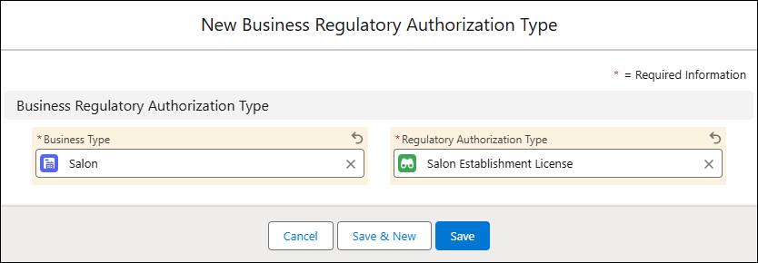 New Business Regulatory Authorization Type screen.