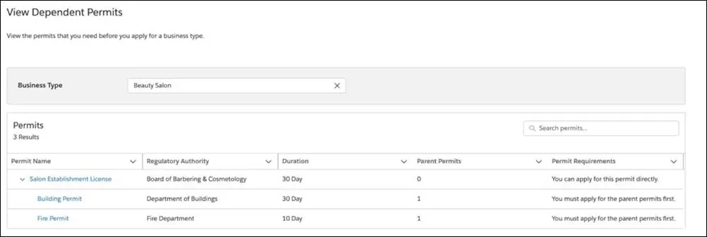 A tree view of dependent licenses and permits for the business type Beauty Salon.