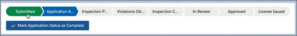 Approval Path on a Business License Application record.