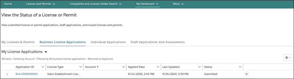 View Status of a License or Permit screen on the My Dashboard tab.