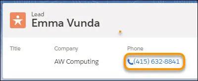 Highlighted phone number on a lead record