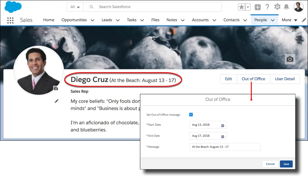 Out of the Office feature in the profile page in Lightning Experience