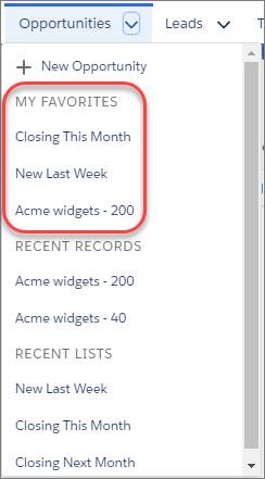 商談のナビゲーションメニューの [私のお気に入り] セクション