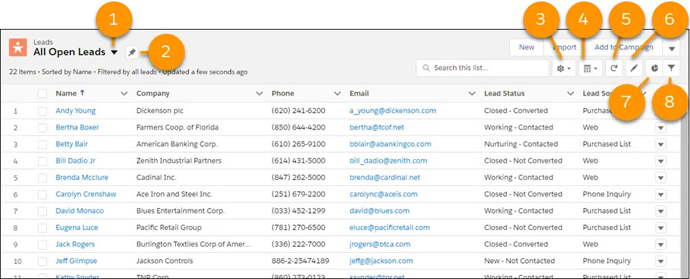 Steuerelemente für Arbeit mit Listenansichten in Lightning Experience