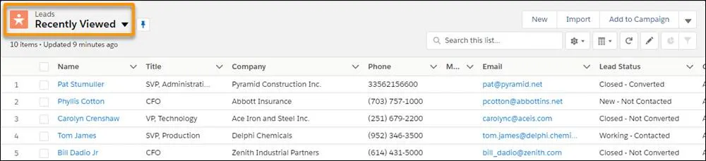 Recently Viewed landing page for the Leads object