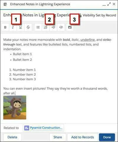 Notes editor in Lightning Experience
