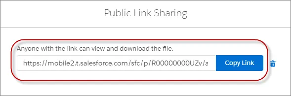 Share a file with customers or people outside of your company via public link sharing