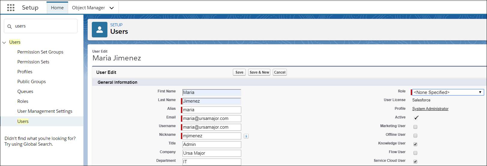 Setup screen showing the steps Maria took to assign herself a Knowledge User license.