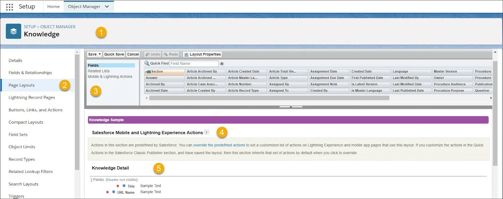 Knowledge object with Page Layouts selected to show the page layout editor.