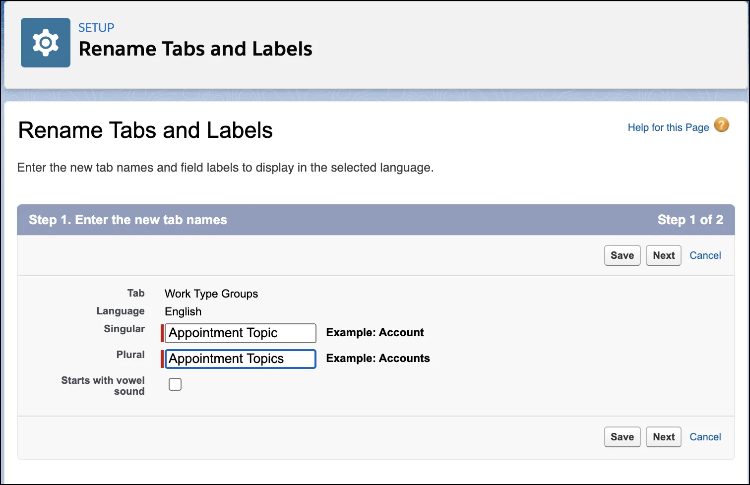 The Rename Tabs and Labels section.