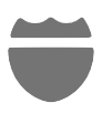 Shield icon
