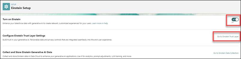 Einstein を有効化し、Trust Layer 設定を調整できる [Einstein Setup (Einstein 設定)] ページ。