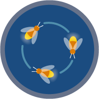 Loops in Flow Builder