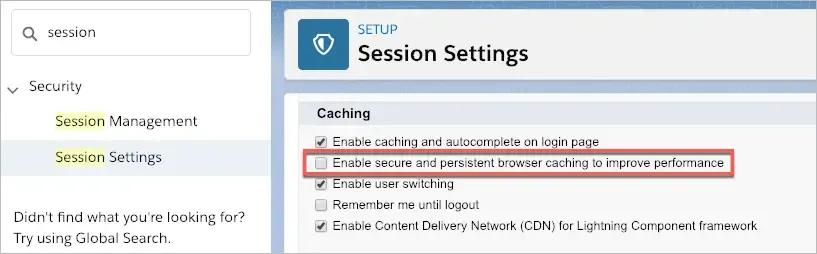 Session settings, showing secure and persistent browser caching disabled.