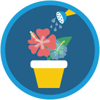 badge icon