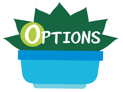 Options: Identify options and make choices.